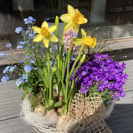 Appartement Haus Meeresglueck Seeteufel Dahme (Schleswig-Holstein)